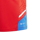 FC Bayern Training Jersey - Red - Kids - Kit Captain